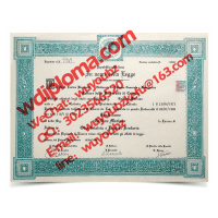 University of catania diploma 